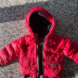 Toddler Winter Jacket